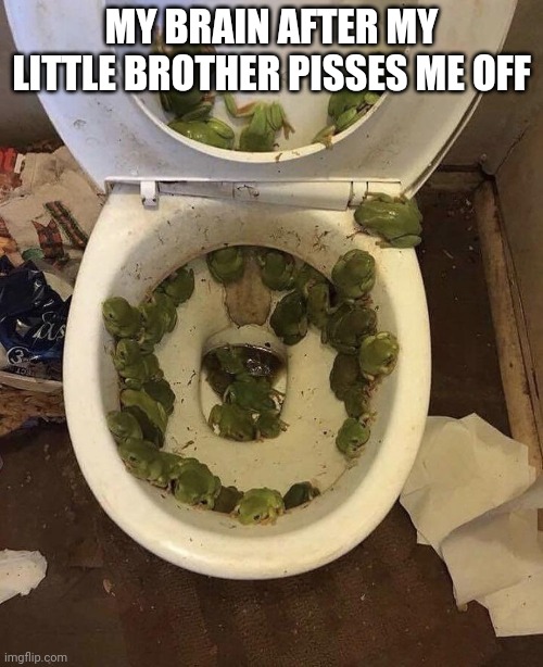 Frogs in da toilet | MY BRAIN AFTER MY LITTLE BROTHER PISSES ME OFF | image tagged in frogs in da toilet | made w/ Imgflip meme maker