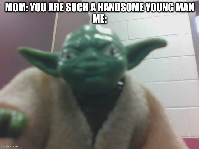 The Facts | MOM: YOU ARE SUCH A HANDSOME YOUNG MAN
ME: | image tagged in toy yoda taking selfie | made w/ Imgflip meme maker