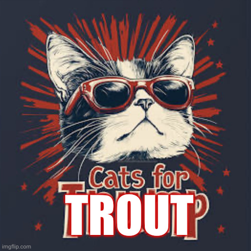 Trout, not Trump | TROUT | image tagged in cats for trump,cats for trout,teach a cat to fish,memes,hungry cat,gimme my omega-3s | made w/ Imgflip meme maker