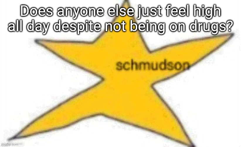 Mental Illinois | Does anyone else just feel high all day despite not being on drugs? | image tagged in schmudson star | made w/ Imgflip meme maker