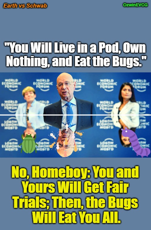 Earth vs Schwab | OzwinEVCG; Earth vs Schwab; "You Will Live in a Pod, Own 

Nothing, and Eat the Bugs."; No, Homeboy: You and 

Yours Will Get Fair 

Trials; Then, the Bugs 

Will Eat You All. | image tagged in bugs,crime,pods,punishment,elitist,world economic forum | made w/ Imgflip meme maker