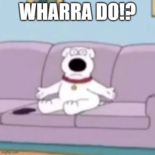 What did i do? | WHARRA DO!? | image tagged in memes,funny,reaction | made w/ Imgflip meme maker