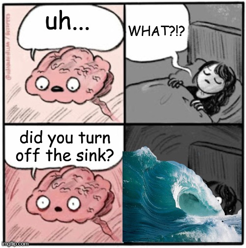 more like did you unclog the sink | WHAT?!? uh... did you turn off the sink? | image tagged in brain before sleep | made w/ Imgflip meme maker