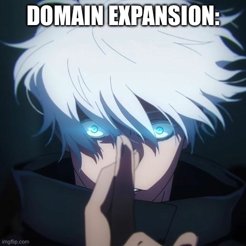 Domain Expansion | DOMAIN EXPANSION: | image tagged in domain expansion | made w/ Imgflip meme maker