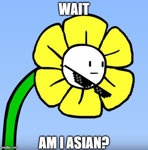 Wut Flowey | WAIT AM I ASIAN? | image tagged in wut flowey | made w/ Imgflip meme maker