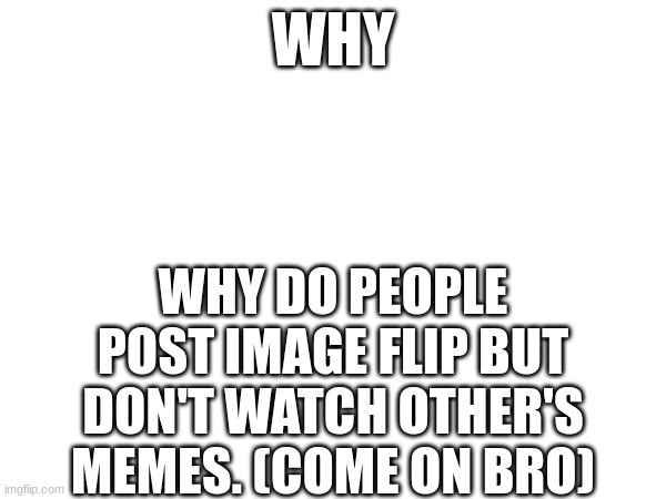 why | WHY; WHY DO PEOPLE POST IMAGE FLIP BUT DON'T WATCH OTHER'S MEMES. (COME ON BRO) | image tagged in why | made w/ Imgflip meme maker