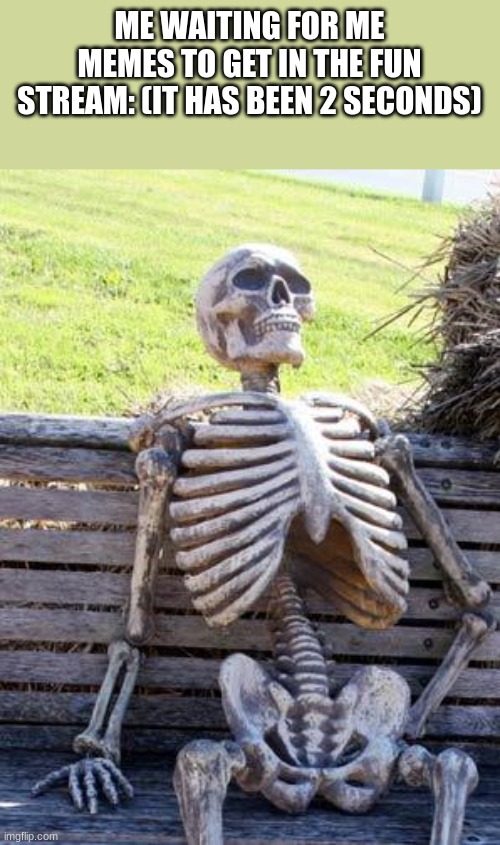 bro its long | ME WAITING FOR ME MEMES TO GET IN THE FUN STREAM: (IT HAS BEEN 2 SECONDS) | image tagged in memes,waiting skeleton | made w/ Imgflip meme maker