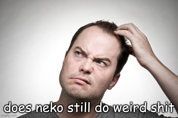 haven't seen him do much tbh | does neko still do weird shit | image tagged in confused | made w/ Imgflip meme maker