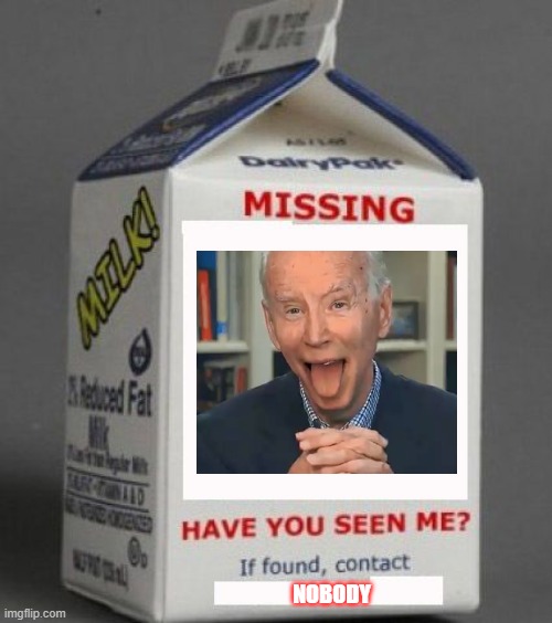 Biden is Missing | NOBODY | image tagged in milk carton,joe biden,democrats,kamala harris,senile | made w/ Imgflip meme maker