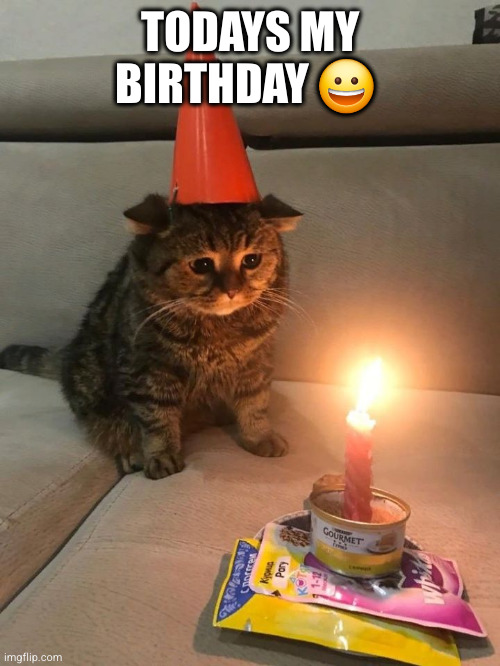 Sad Birthday Cat | TODAYS MY BIRTHDAY 😀 | image tagged in sad birthday cat | made w/ Imgflip meme maker