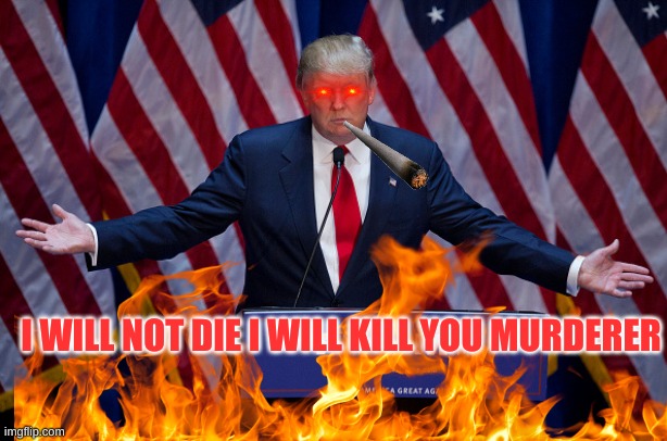 Donald Trump | I WILL NOT DIE I WILL KILL YOU MURDERER | image tagged in donald trump | made w/ Imgflip meme maker