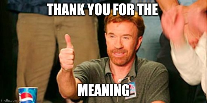 chuck norris thanks you | THANK YOU FOR THE MEANING | image tagged in chuck norris thanks you | made w/ Imgflip meme maker