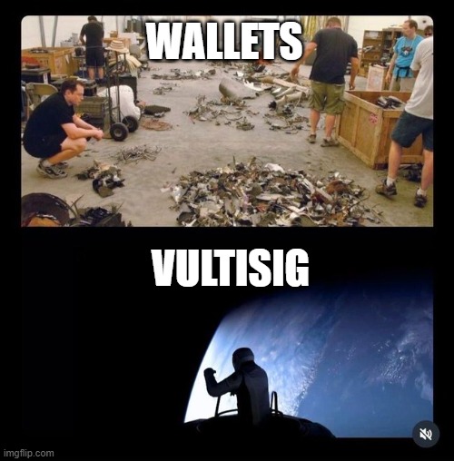 Vultisig | WALLETS; VULTISIG | image tagged in elon,vultisig,vult,evolution,wallet,bitcoin | made w/ Imgflip meme maker