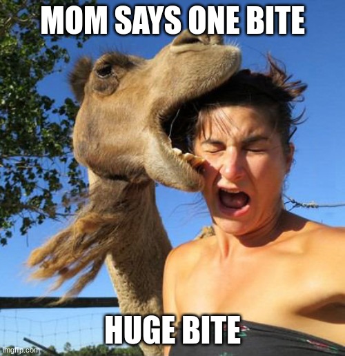 mom only at restaurant | MOM SAYS ONE BITE; HUGE BITE | image tagged in camel bite,huge bite | made w/ Imgflip meme maker