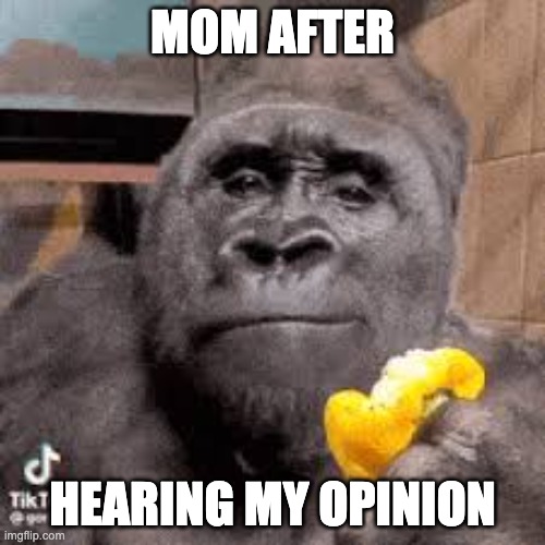 condescending monke | MOM AFTER; HEARING MY OPINION | image tagged in condescending monke,memes,funny,mom,relatable,oh wow are you actually reading these tags | made w/ Imgflip meme maker