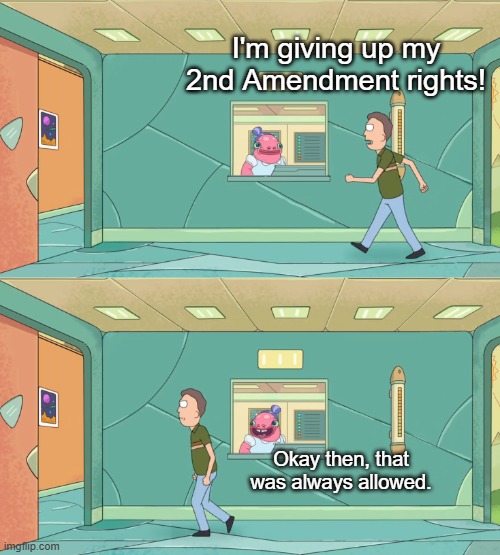 2nd Amendment Rights | I'm giving up my 2nd Amendment rights! Okay then, that was always allowed. | image tagged in okay then that was always allowed,2nd amendment | made w/ Imgflip meme maker