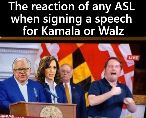 What did they just say? | The reaction of any ASL 
when signing a speech 
for Kamala or Walz | image tagged in politics | made w/ Imgflip meme maker