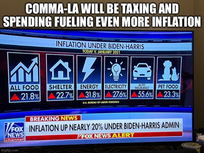 Kamala Harris’ Detailed Economic Strategic Plan | COMMA-LA WILL BE TAXING AND SPENDING FUELING EVEN MORE INFLATION | image tagged in kamala harris,bidenomics,harris communist,harris economic plan,tax and spend democrat | made w/ Imgflip meme maker