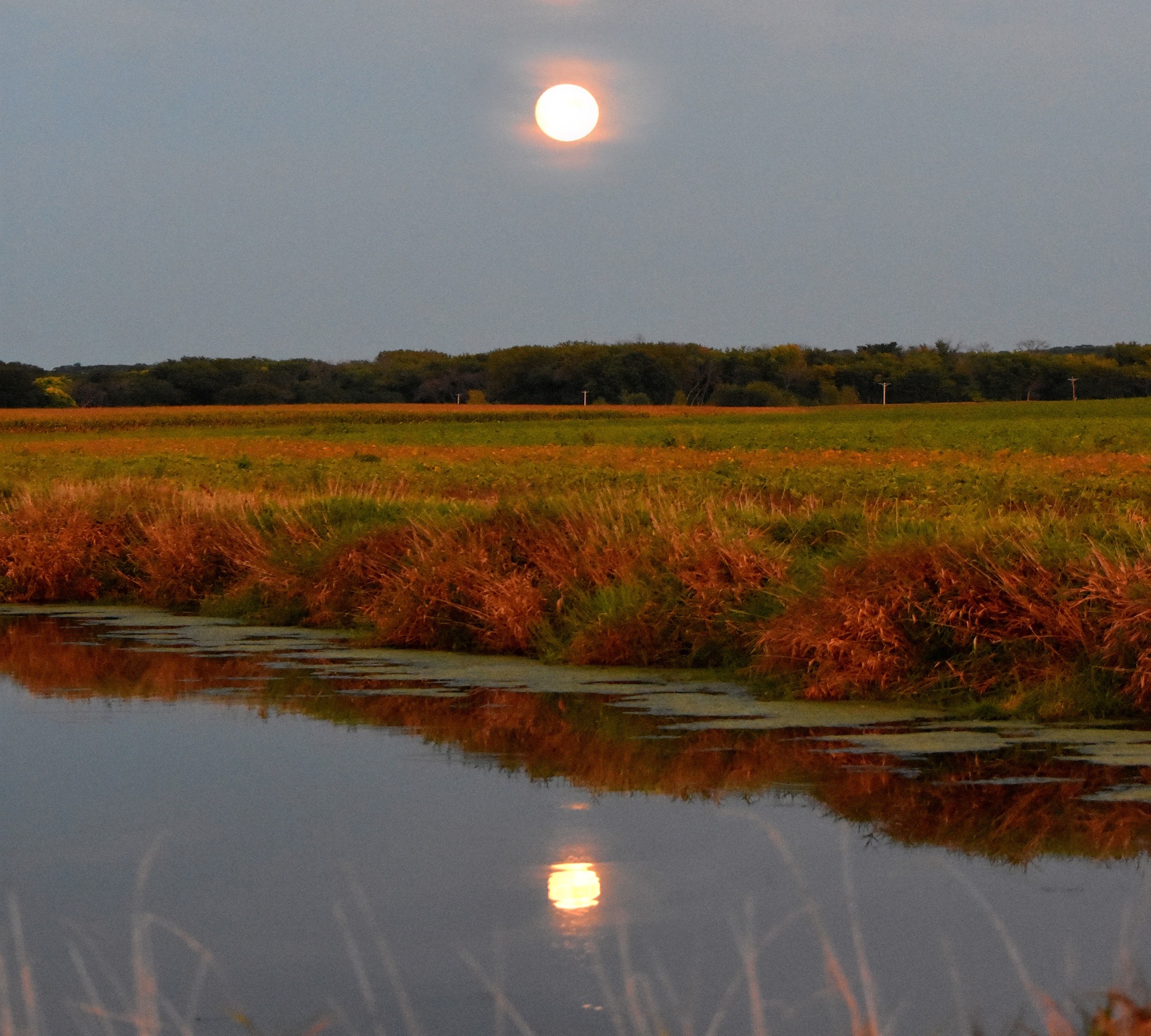 Harvest Moon (9/16/24 | image tagged in kewlew,harvest moon | made w/ Imgflip meme maker