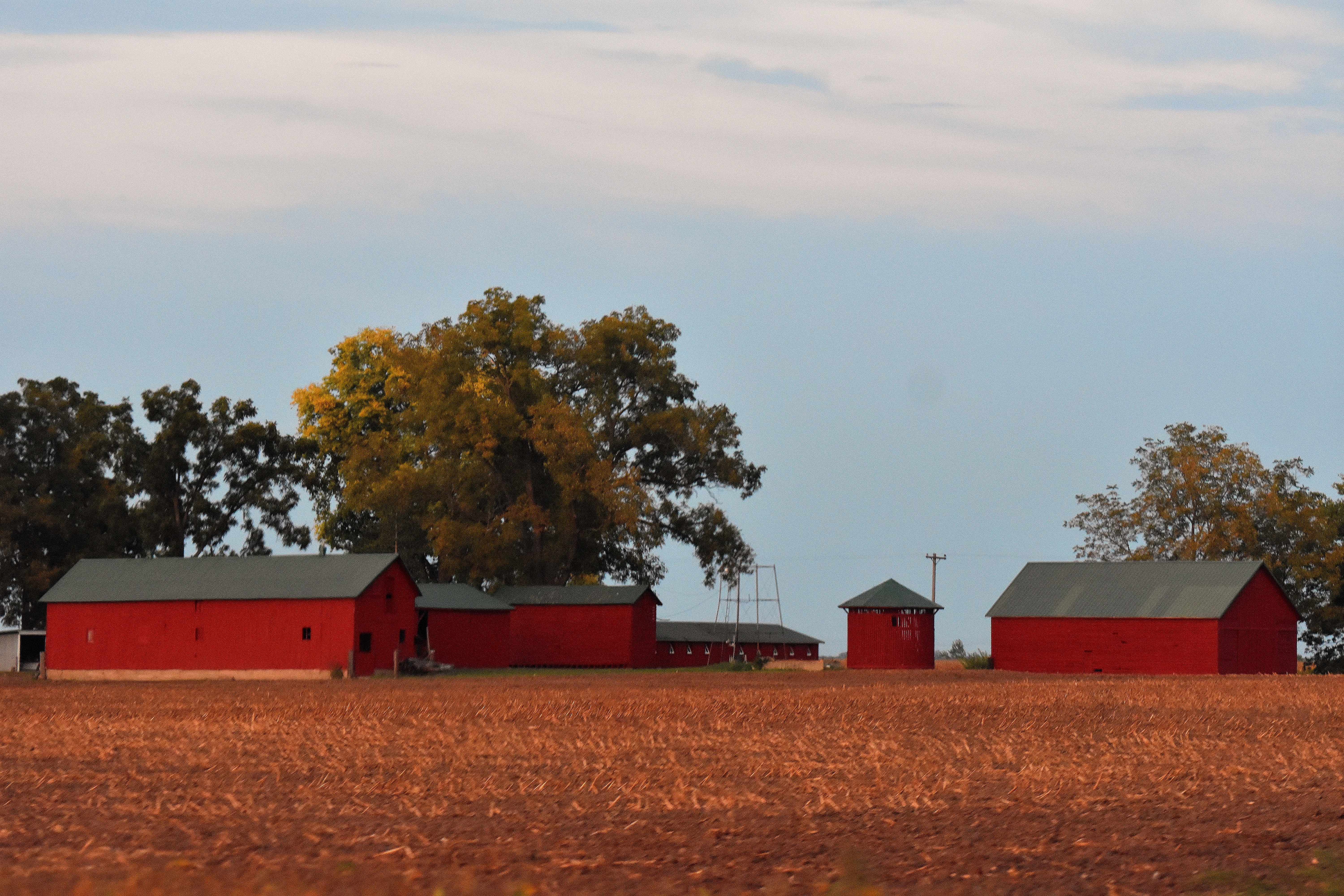 A farm near me | made w/ Imgflip meme maker