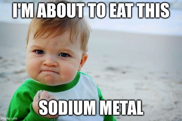 blehhh | I'M ABOUT TO EAT THIS; SODIUM METAL | image tagged in memes,success kid original | made w/ Imgflip meme maker