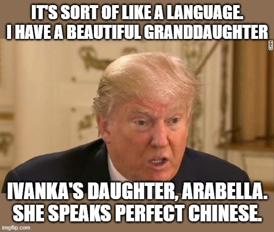 Trump doesn't know what Crypto is or why he's being told to shill it | IT'S SORT OF LIKE A LANGUAGE. I HAVE A BEAUTIFUL GRANDDAUGHTER; IVANKA'S DAUGHTER, ARABELLA. SHE SPEAKS PERFECT CHINESE. | image tagged in trump stupid face,bitcoin,cryptocurrency,idiot | made w/ Imgflip meme maker