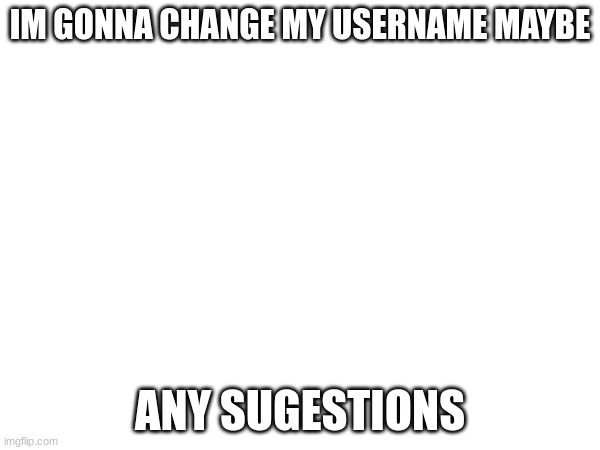 IM GONNA CHANGE MY USERNAME MAYBE; ANY SUGESTIONS | made w/ Imgflip meme maker