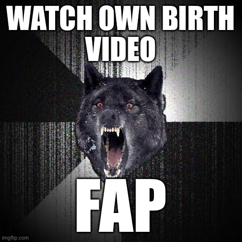 Recreating the oldest meme on Imgflip. | WATCH OWN BIRTH
VIDEO; FAP | image tagged in memes,insanity wolf | made w/ Imgflip meme maker
