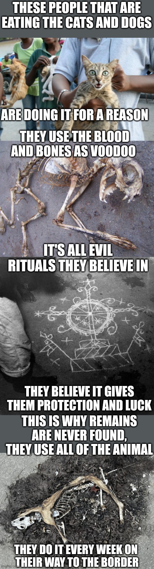 THESE PEOPLE REALLY ARE EVIL | THESE PEOPLE THAT ARE EATING THE CATS AND DOGS; ARE DOING IT FOR A REASON; THEY USE THE BLOOD AND BONES AS VOODOO; IT'S ALL EVIL RITUALS THEY BELIEVE IN; THEY BELIEVE IT GIVES THEM PROTECTION AND LUCK; THIS IS WHY REMAINS ARE NEVER FOUND, THEY USE ALL OF THE ANIMAL; THEY DO IT EVERY WEEK ON 
THEIR WAY TO THE BORDER | image tagged in immigration,illegal immigration,voodoo,politics | made w/ Imgflip meme maker