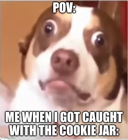 hi | POV:; ME WHEN I GOT CAUGHT WITH THE COOKIE JAR: | image tagged in i'm the dumbest man alive | made w/ Imgflip meme maker