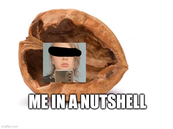 Haha | ME IN A NUTSHELL | made w/ Imgflip meme maker