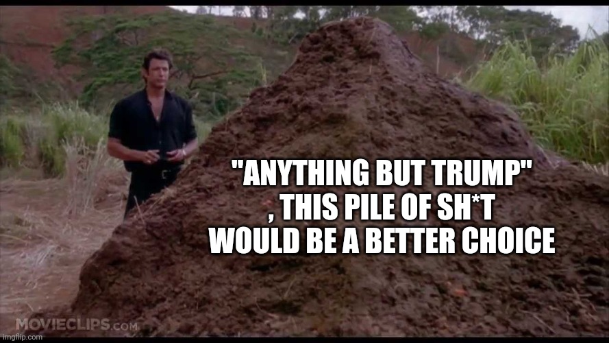 That is one big pile of shit | "ANYTHING BUT TRUMP" , THIS PILE OF SH*T WOULD BE A BETTER CHOICE | image tagged in that is one big pile of shit | made w/ Imgflip meme maker