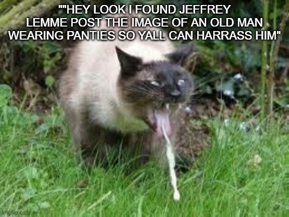 JeffreyLookoutStream lore | ""HEY LOOK I FOUND JEFFREY LEMME POST THE IMAGE OF AN OLD MAN WEARING PANTIES SO YALL CAN HARRASS HIM" | image tagged in c t | made w/ Imgflip meme maker