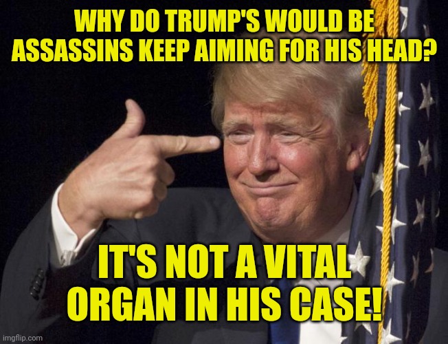 Stable Genius | WHY DO TRUMP'S WOULD BE ASSASSINS KEEP AIMING FOR HIS HEAD? IT'S NOT A VITAL ORGAN IN HIS CASE! | image tagged in asshole,dick,there's no brain here,assassination chain with too many assassins | made w/ Imgflip meme maker