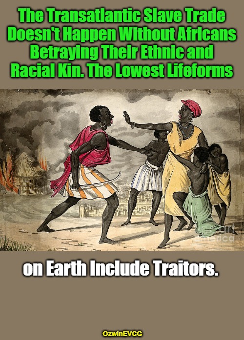 Sussing First Punches | The Transatlantic Slave Trade 

Doesn't Happen Without Africans 

Betraying Their Ethnic and 

Racial Kin. The Lowest Lifeforms; on Earth Include Traitors. OzwinEVCG | image tagged in slavery,history,ethnic,racial,treason,real talk | made w/ Imgflip meme maker