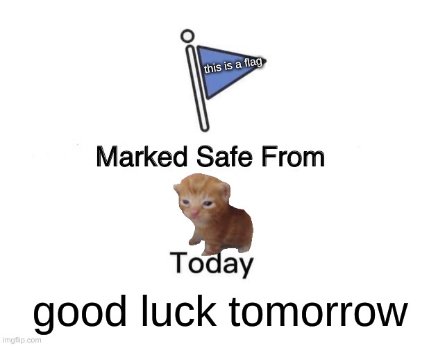 Marked Safe From | this is a flag; good luck tomorrow | image tagged in memes,marked safe from | made w/ Imgflip meme maker