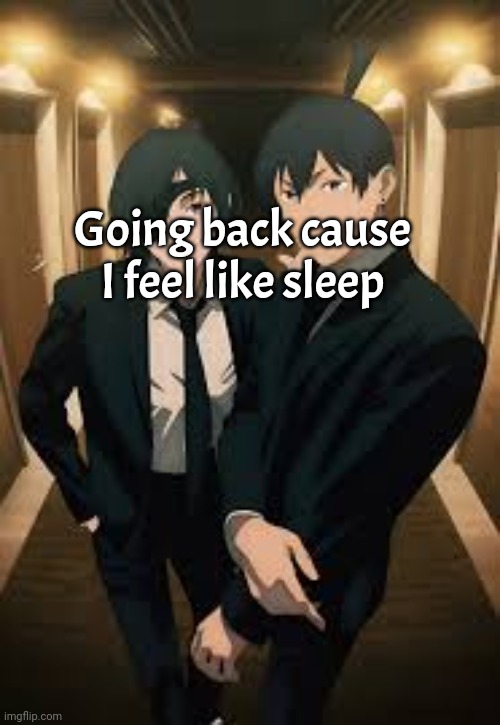 Bye , luv y'all<3 | Going back cause I feel like sleep | image tagged in himeno and aki | made w/ Imgflip meme maker