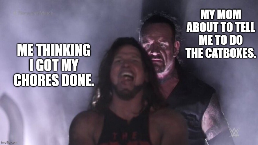 it do be like that tho | MY MOM ABOUT TO TELL ME TO DO THE CATBOXES. ME THINKING I GOT MY CHORES DONE. | image tagged in aj styles undertaker | made w/ Imgflip meme maker