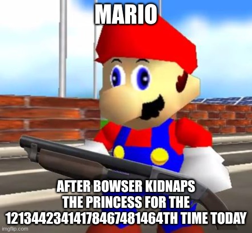 He had enough. | MARIO; AFTER BOWSER KIDNAPS THE PRINCESS FOR THE 12134423414178467481464TH TIME TODAY | image tagged in smg4 shotgun mario | made w/ Imgflip meme maker