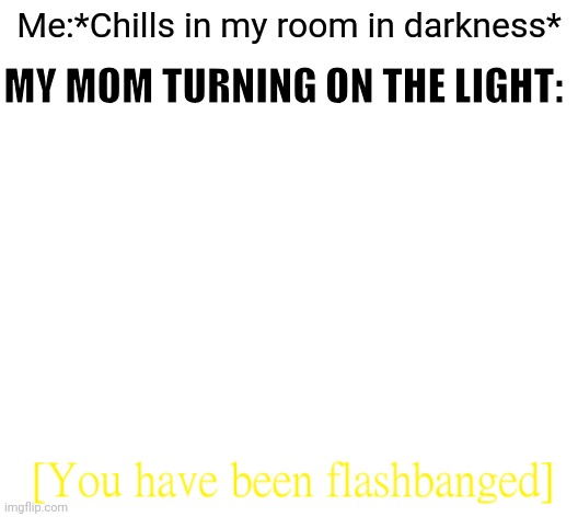 you have been flashbanged | Me:*Chills in my room in darkness*; MY MOM TURNING ON THE LIGHT: | made w/ Imgflip meme maker