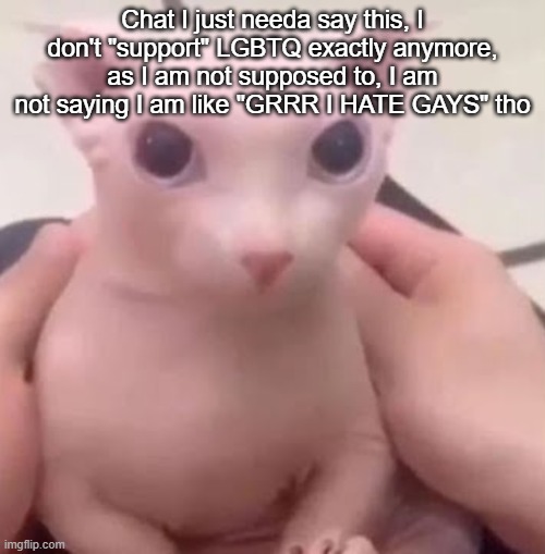 Bingus | Chat I just needa say this, I don't "support" LGBTQ exactly anymore, as I am not supposed to, I am not saying I am like "GRRR I HATE GAYS" tho | image tagged in bingus | made w/ Imgflip meme maker