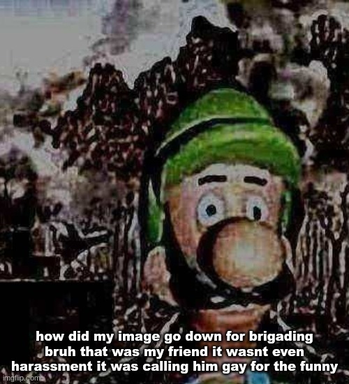 luigi yard stare | how did my image go down for brigading bruh that was my friend it wasnt even harassment it was calling him gay for the funny | image tagged in luigi yard stare | made w/ Imgflip meme maker