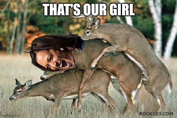 deer three way | THAT'S OUR GIRL | image tagged in deer three way | made w/ Imgflip meme maker