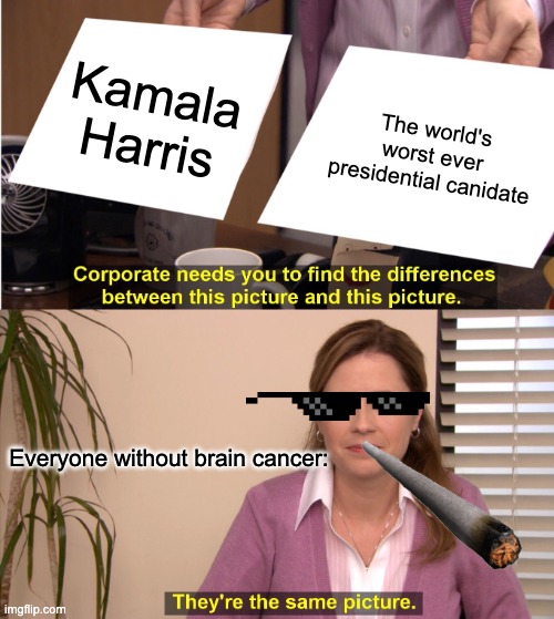 ... | Kamala Harris; The world's worst ever presidential canidate; Everyone without brain cancer: | image tagged in memes,they're the same picture | made w/ Imgflip meme maker