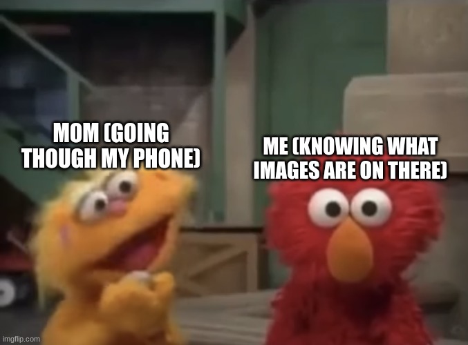 Real life | ME (KNOWING WHAT IMAGES ARE ON THERE); MOM (GOING THOUGH MY PHONE) | image tagged in elmo,ptsd,gone wrong | made w/ Imgflip meme maker