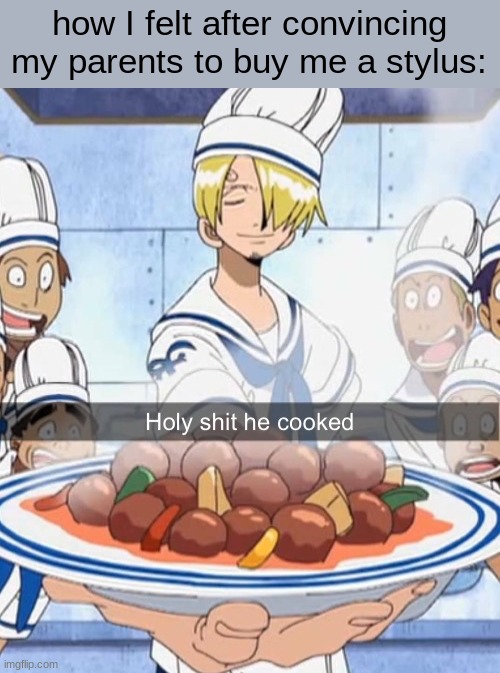 it's gunna be epic! | how I felt after convincing my parents to buy me a stylus: | image tagged in holy shit he cooked | made w/ Imgflip meme maker