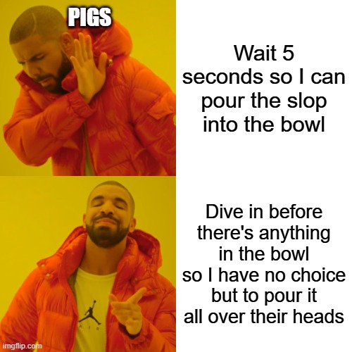 I get more frustrated every time I have to feed them | Wait 5 seconds so I can pour the slop into the bowl; PIGS; Dive in before there's anything in the bowl so I have no choice but to pour it all over their heads | image tagged in memes,drake hotline bling | made w/ Imgflip meme maker