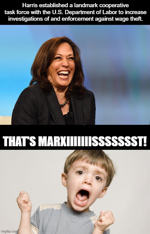 Facts are facts. Haters gonna hate. | Harris established a landmark cooperative task force with the U.S. Department of Labor to increase investigations of and enforcement against wage theft. THAT'S MARXIIIIIIISSSSSSST! | image tagged in kamala harris laughing,screaming child,based candidate,kamala harris,2024,dump trump | made w/ Imgflip meme maker