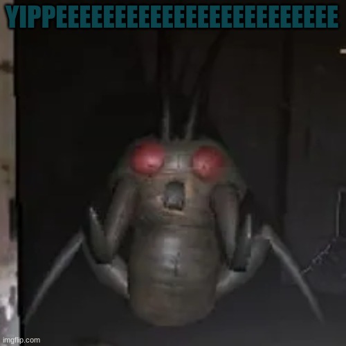 YIPPEEE BUG | YIPPEEEEEEEEEEEEEEEEEEEEEEEE | image tagged in yippeee bug | made w/ Imgflip meme maker