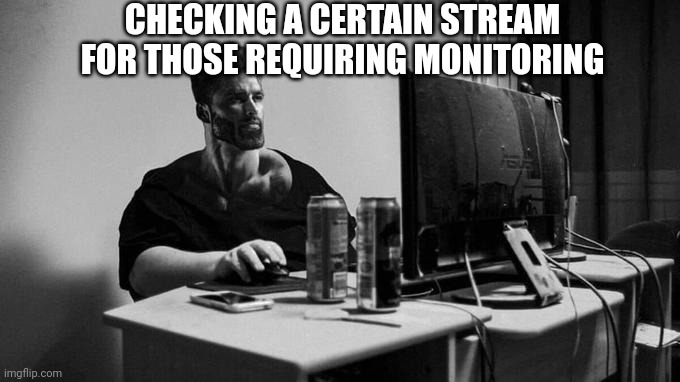 Gigachad On The Computer | CHECKING A CERTAIN STREAM FOR THOSE REQUIRING MONITORING | image tagged in gigachad on the computer | made w/ Imgflip meme maker